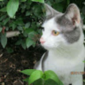 Meet your Posher, Teresa